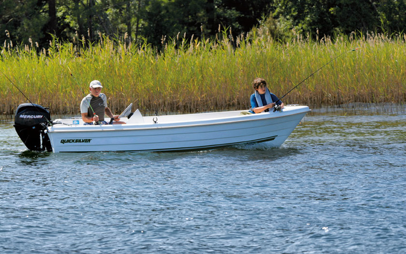 Quicksilver Fish 440