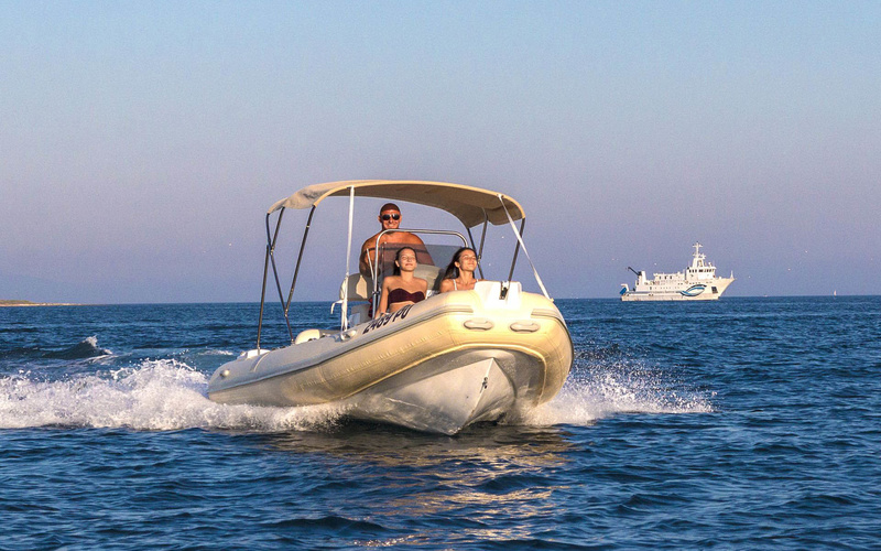 Tiger Marine ProLine 550