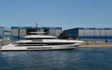 Mangusta Dokinha