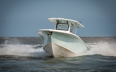 Sea Pro 320 DLX Offshore