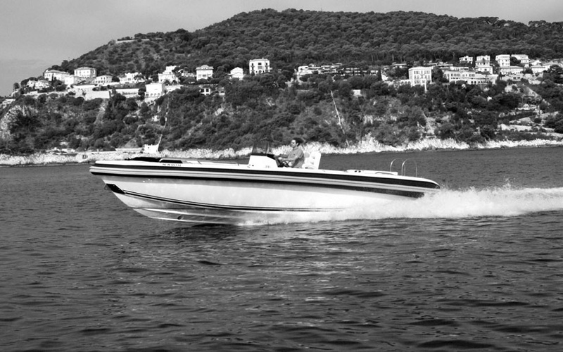 Novurania Chase 31