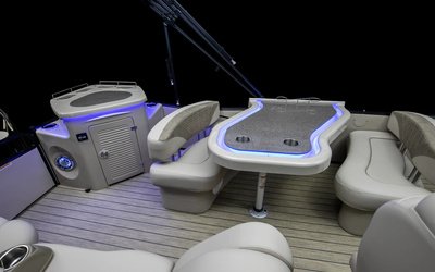 Avalon Catalina Entertainer 25