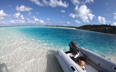 Apex A-11 RIB
