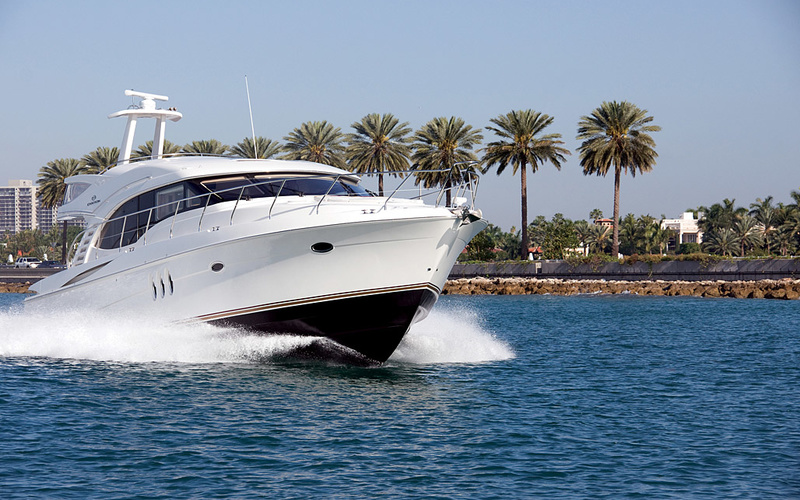 Ovation 55