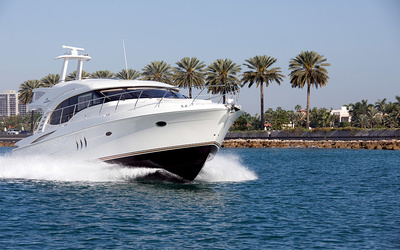 Ovation 55