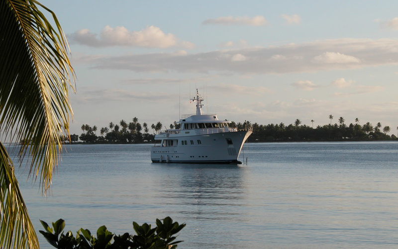 OCEA Classic 100