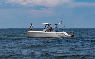 Robalo R272