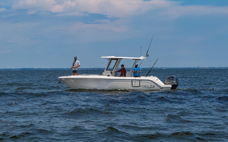 Robalo R272