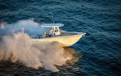 Sea Pro 259 Deep V