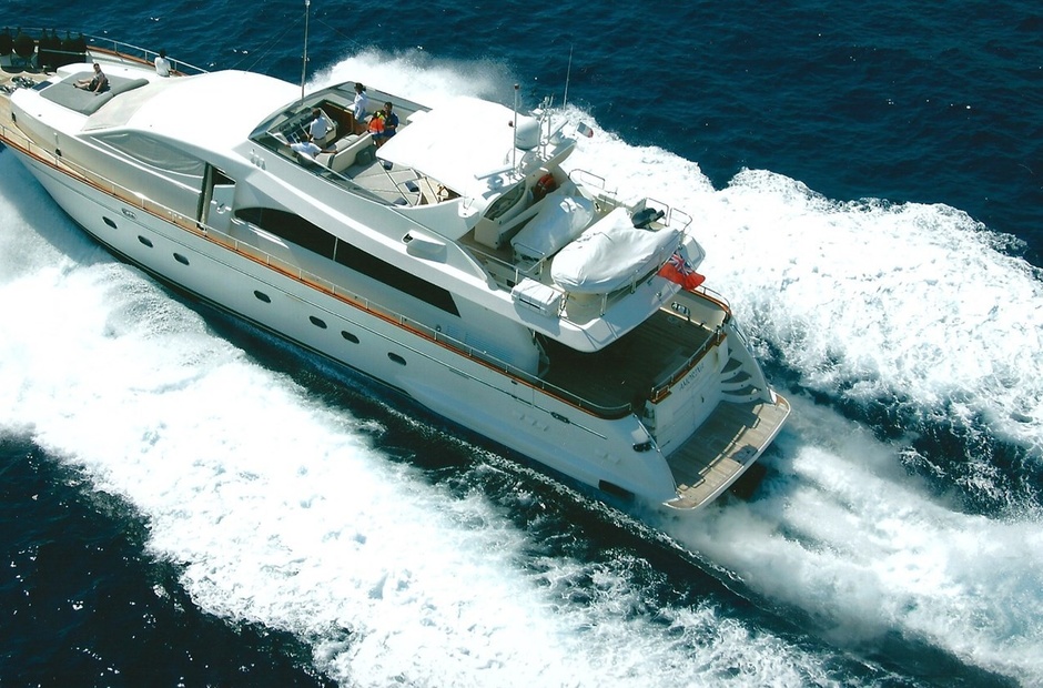 Falcon Amorina