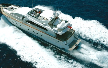 Falcon Amorina