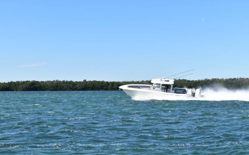 Blackwater 41 SportFish