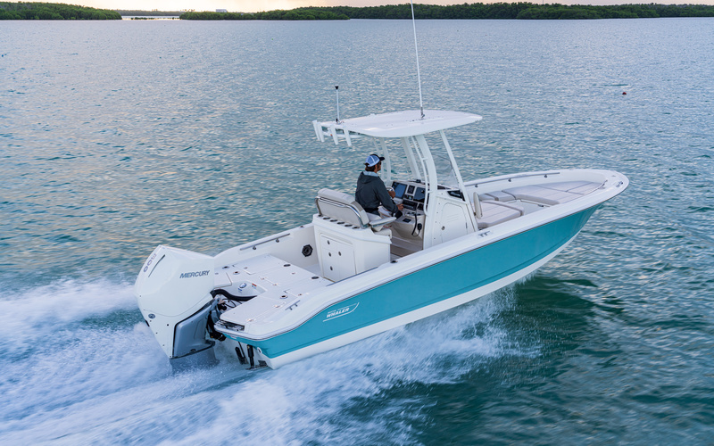 Boston Whaler 250 Dauntless
