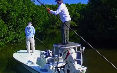 Beavertail Strike 17