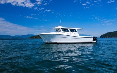 Ocean Sport 30' Roamer
