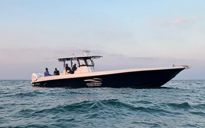 Ocean Boats 41S