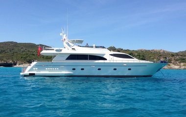 Falcon Bora