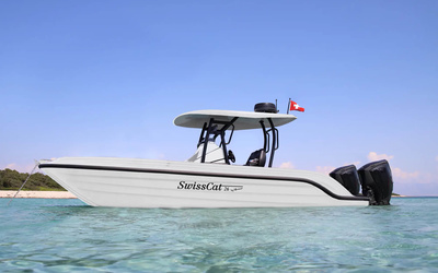 SwissCat 26