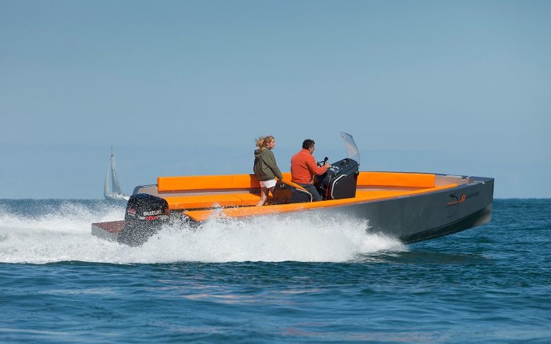 Iguana 29