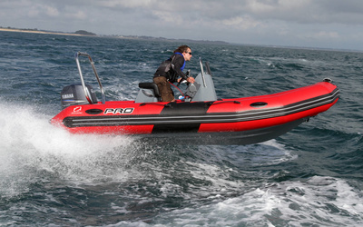 Zodiac Pro 500