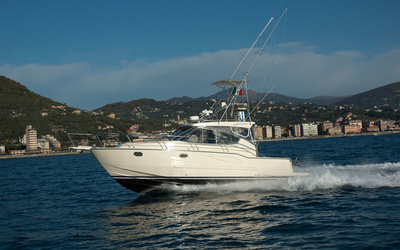 Portofino 11 Fisherman