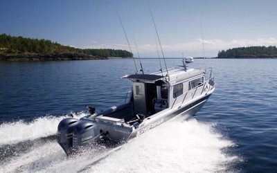 KingFisher 2725