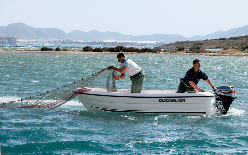 Quicksilver Fish 410