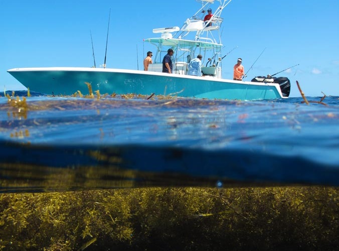 SeaVee 390