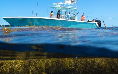 SeaVee 390