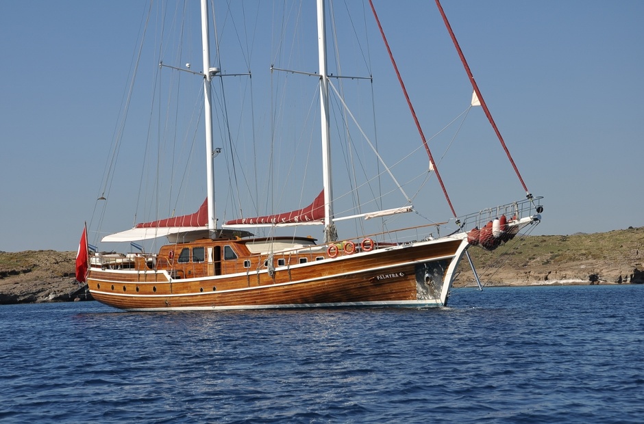 Custom Palmyra