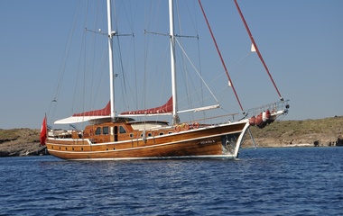 Custom Palmyra