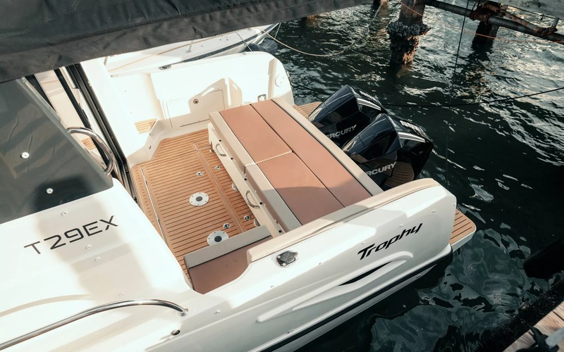 Bayliner T29 Explorer