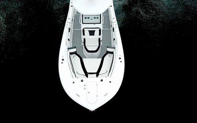 TideWater 272 LXF