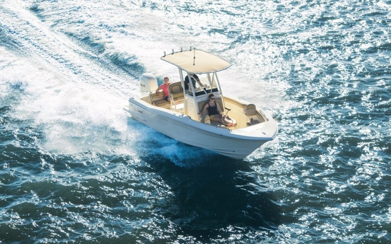 Scout 215 XSF