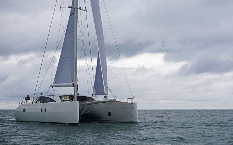 Ice Cat 61
