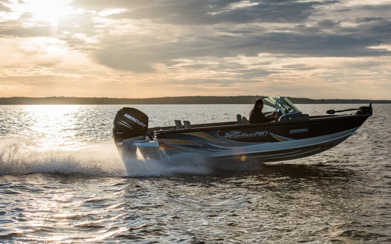 NorthSilver 650 Fish