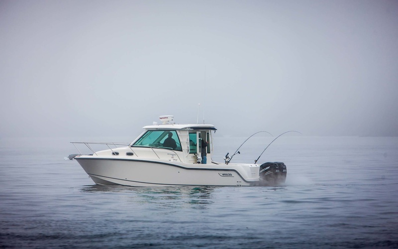 Boston Whaler 315 Conquest Pilothouse