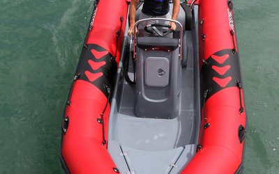 Zodiac Pro 500