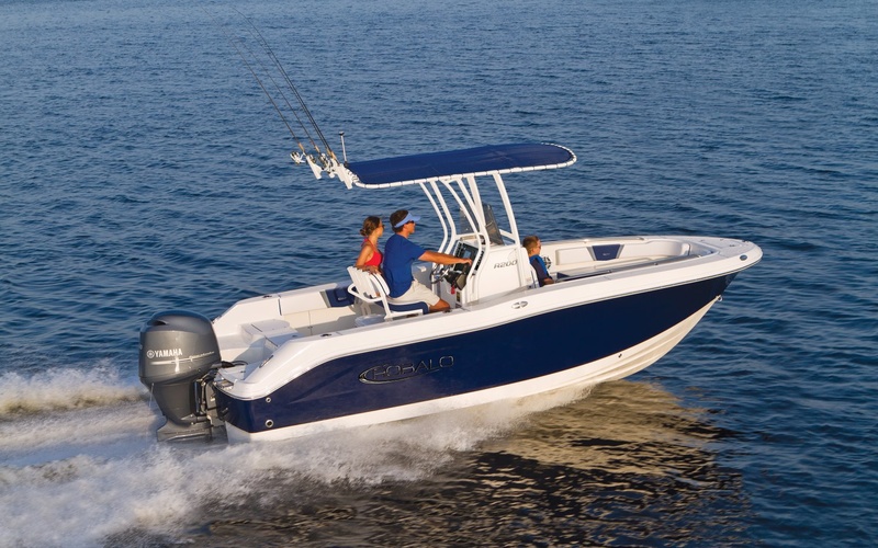 Robalo R200