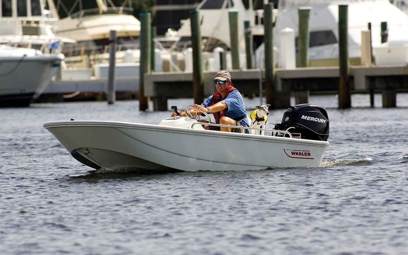Boston Whaler 110 Tender