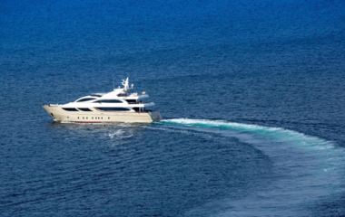 Astondoa Panakeia