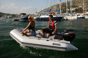 Brig D265