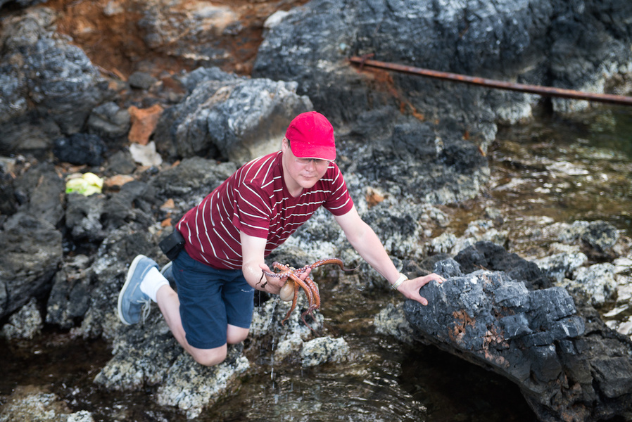 Michael catches an octopus (and immediately releases it, but it's left behind).
