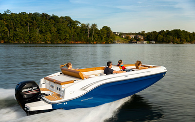 Bayliner DX2000