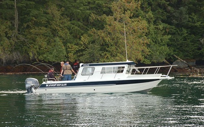 KingFisher 2525