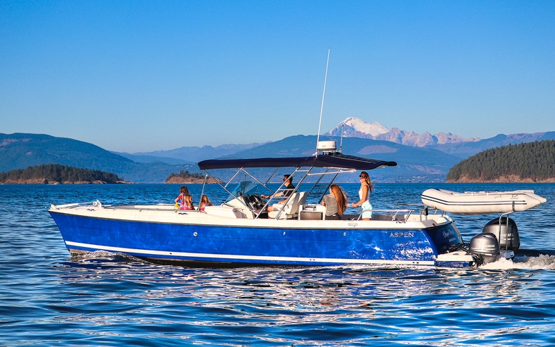 Aspen L107