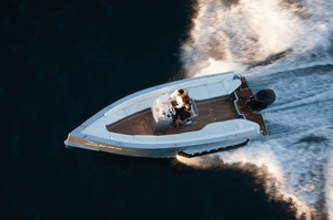 Iguana 24