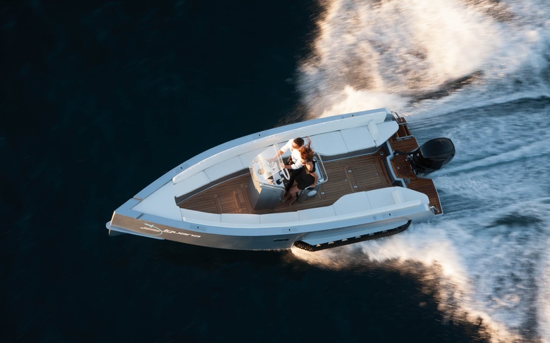 Iguana 24