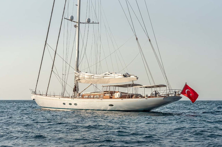 Ses Grace III