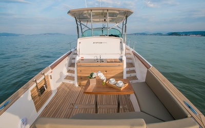 Fishing Raptor 390 Saint Tropez